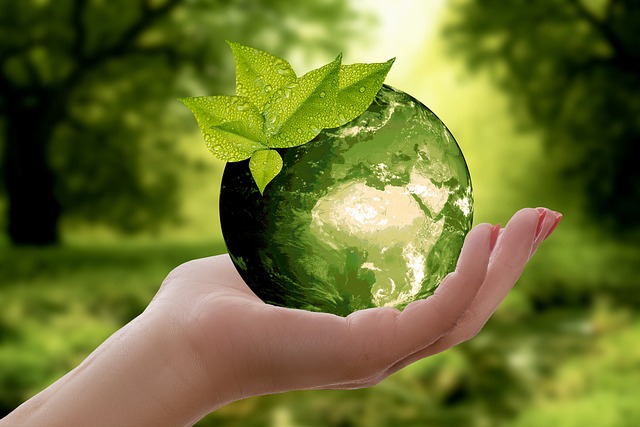 Cultiver l’optimisme : le premier pilier de la résilience